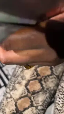 #france🇫🇷 pour tout vos projets et activités #senegal #senegal #malitiktok🇲🇱 #burkinafaso #togolais228🇹🇬 #cotedivoire🇨🇮 #whatsapp #2250500823350 