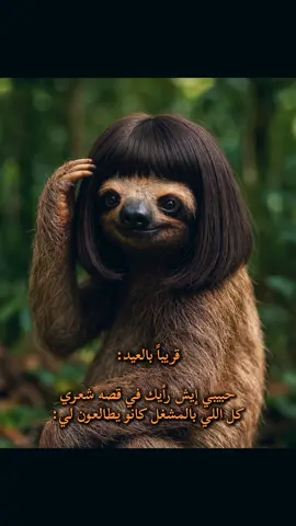 😬😂😂 #الشعب_الصيني_ماله_حل😂😂 #مالي_خلق_احط_هاشتاقات #رياكشن #رياكشنات_مضحكه #رياكشنات #عيد_سعيد #كل_عام_وانتم_بخير #العيد #عيد_الاضحى #foryou #pov #اكسبلورexplore 