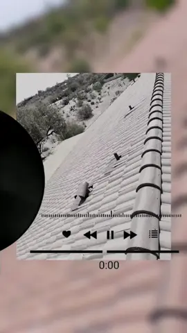 #roofing #chapines502🇬🇹 #compalupealmillon #viralvideo #paratiiiiiiiiiiiiiiiiiiiiiiiiiiiiiii 