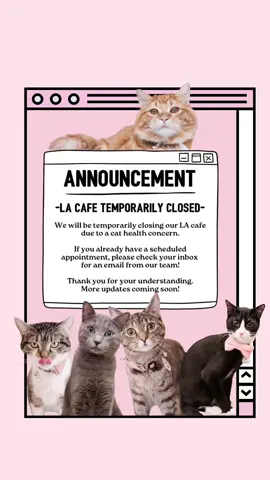 We wanted to share a quick update from our LA cat café. All of our cats are safe, happy, and doing well—but we’re temporarily closing our doors to care for a minor cat health issue. Sometimes, even the smallest health bumps require a break, and we want to make sure our furry friends get the rest and top-notch care they deserve. While the café is closed, our team is hard at work behind the scenes with our incredible rescue partner to ensure every single cat is feeling 100% again soon. These unexpected closures put real pressure on our small business. If you’re able, we would be so grateful for your support—especially through our Cat Health Fund, which helps us cover the rising costs of veterinary care and allows us to continue rescuing, healing, and rehoming cats who need us most. 💗 https://crumbsandwhiskers.com/cat-health-fund Thank you for always showing up for us and our cats. We truly couldn’t do this without you. P.S. Our DC café remains open as usual, and the cats there can’t wait to see you! #catcafe #adoptdontshop #rescuecat #waitingforhome #thankyou #catcare #cathealth 
