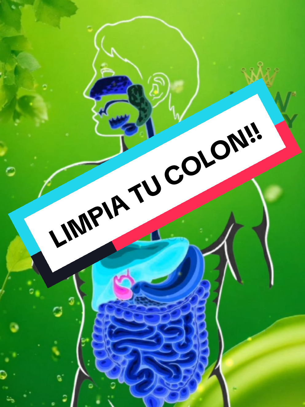 LIMPIA TU COLON CON NUESTRO FRESH DRINK DE HGW!! #creatorsearchinsights #limpiacolon #desintoxicatucuerpo #hgw 