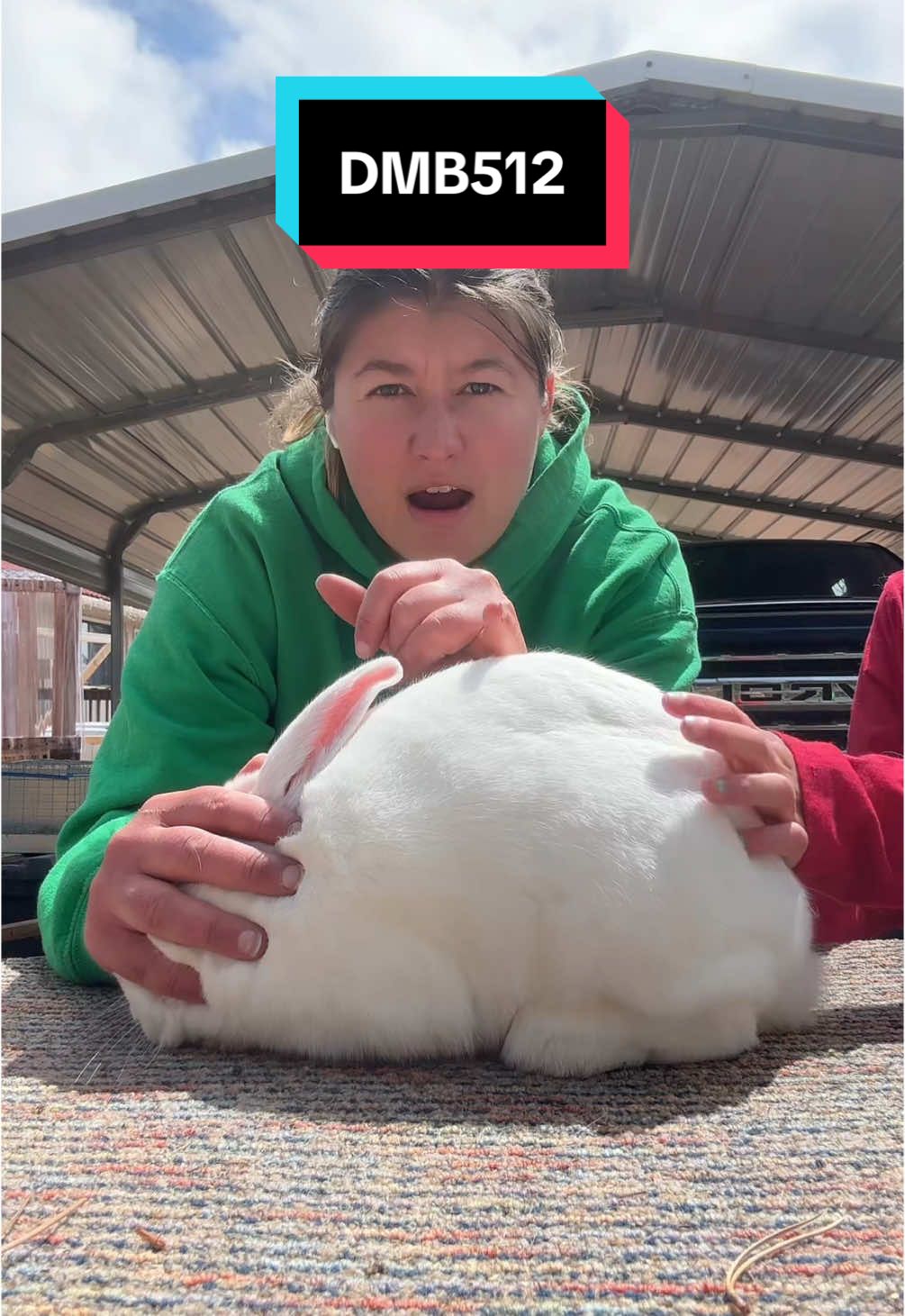 - [ ] #fy #fyp #farm #farmer #farming #farmstead #homestead #urbanhomestead #homesteading  - [ ] #rabbitbreeders #rabbitbreeder #rexrabbit #meatrabbit #showrabbit #sustainable #Sustainability #educational #food #meat #butcher #homegrown #prepper #4h #ffa #arba #ag #agtok #ethical #ethicalbreeder #rex #minirex #NewZealand #cda #dargent #senita #silverfox #Netherland #Netherlanddwarf #nd 