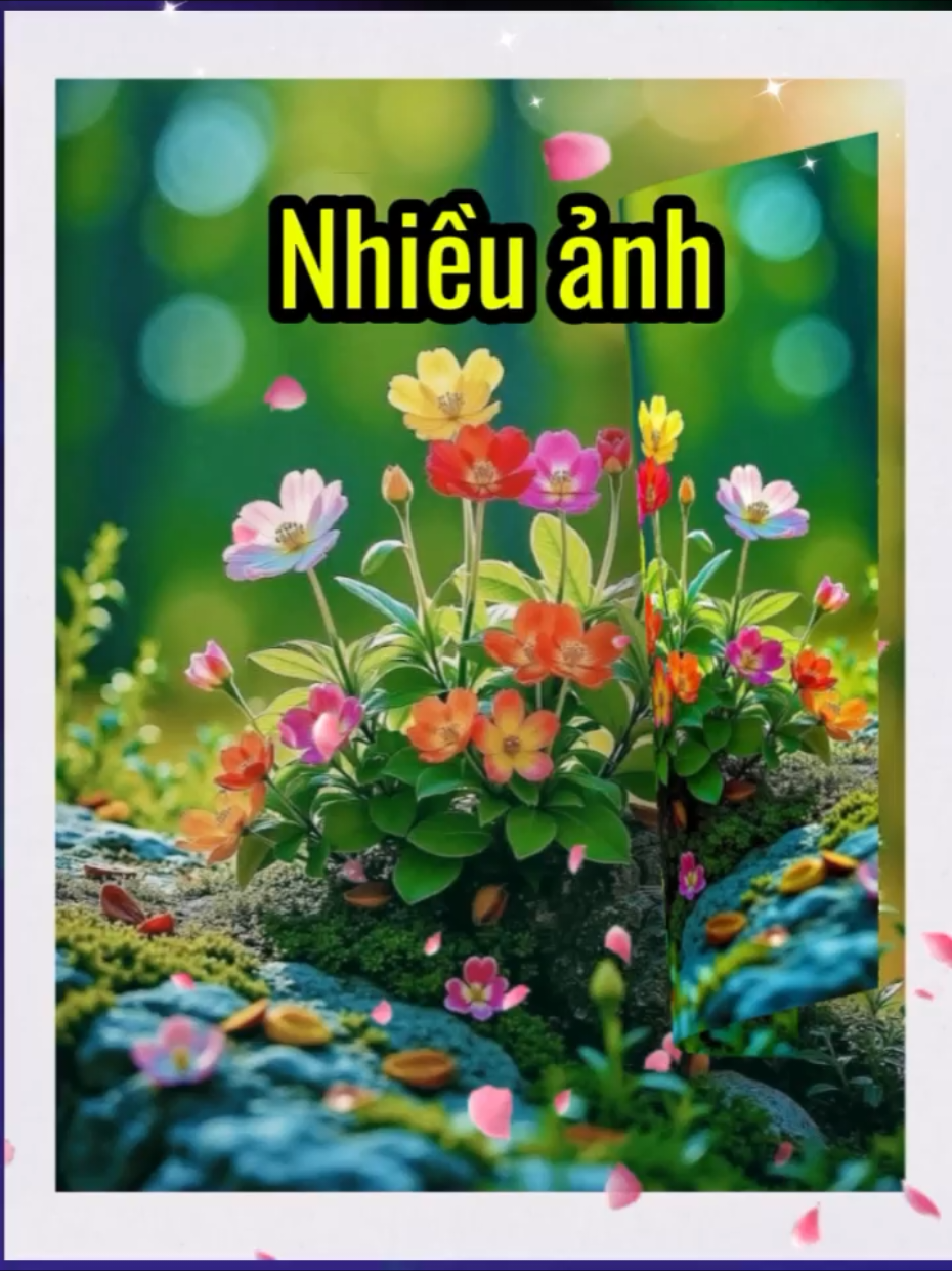 #CapCut Nhiều ảnh hoa đẹp 