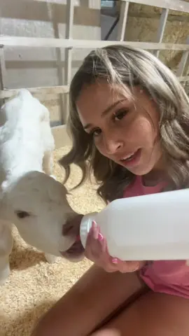 Someone give us a name for her #fypシ #calf