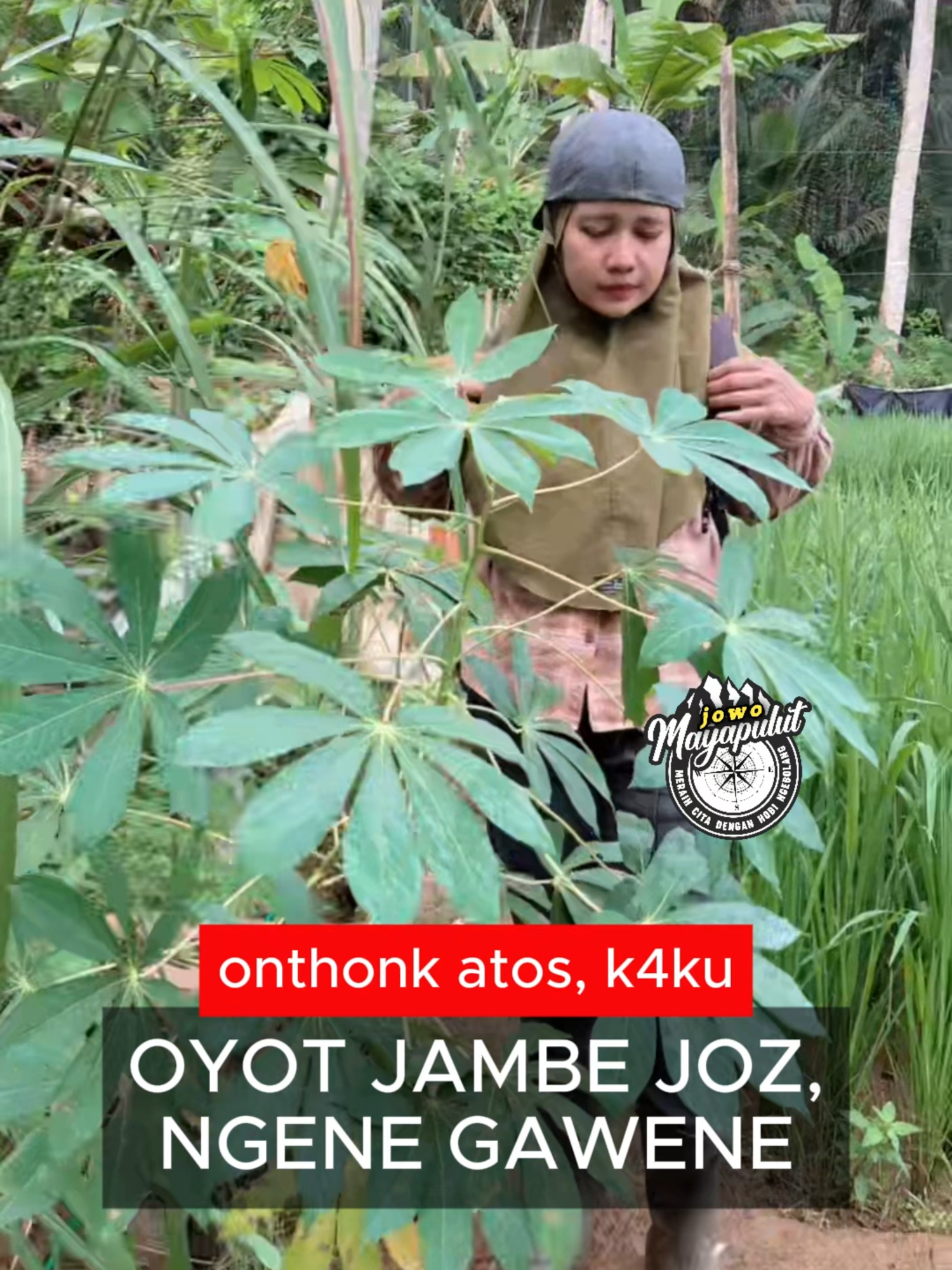 gunakno iki wae, alami lan joz! #trending #herbalife #bolang #obatwasir #obatkanker #obat #AmaZing #obatmaag #natural #flora #reels #reelsfb #fyp #herbalbatuginjal #herbalwasir #trend #herbalalami #viraltiktok #KontenAlaSnack #herbalobatsakitasamurat #ruralfood #herbal #covid #kesehatan #health #viral #corona #halal #healthylifestyle #diet
