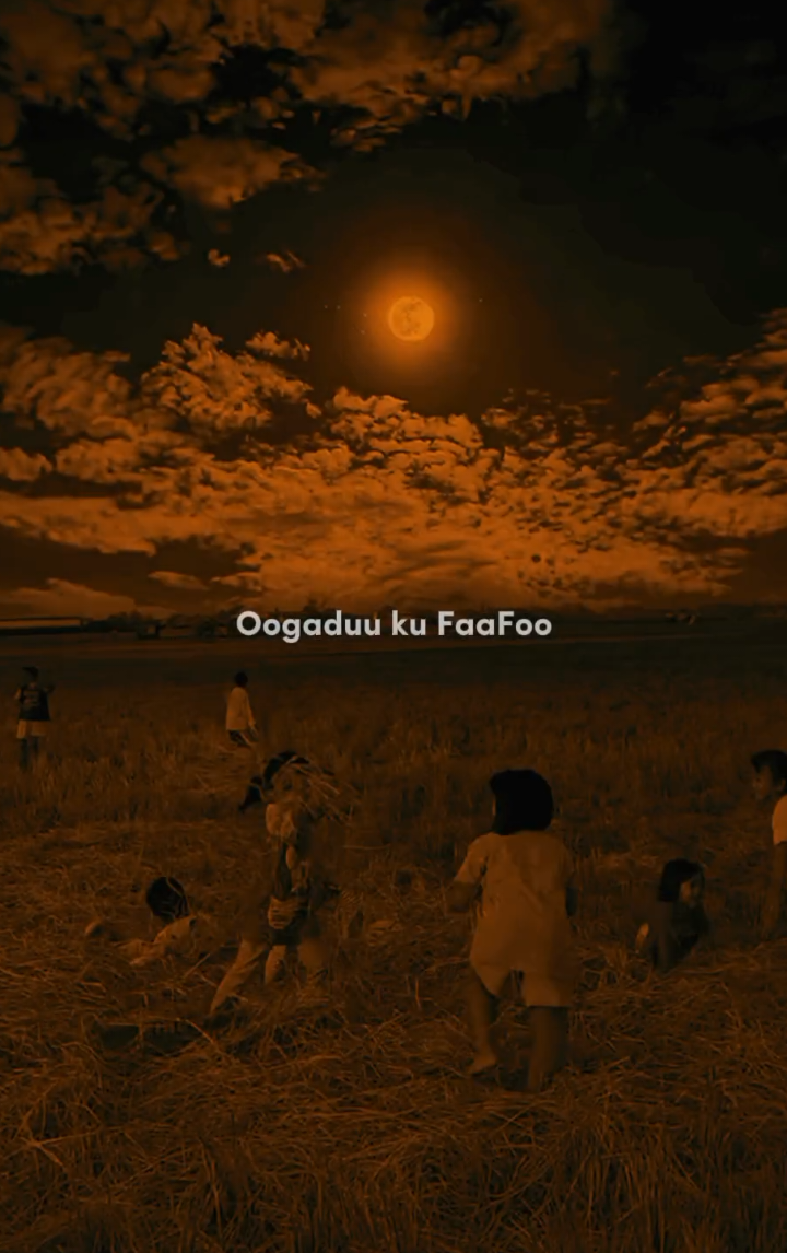 🥺💔 || Oogaduu Ku Faafoo || #lyrics_songs || Diidey Inaan Adkaystoo || #somalilyrics🌺😕💎 #fyyyyyyyyyyyyyyyyyyy #vira #lyrics_video #jacayl🔐 #veiws #calaacal_lyrics #qaraami #fyp #somalitiktok #lyric #zanka_47 