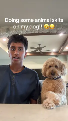 Always fun to spend some quality time with my dog!