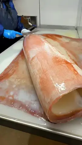 How to prepare a freshly cought squid