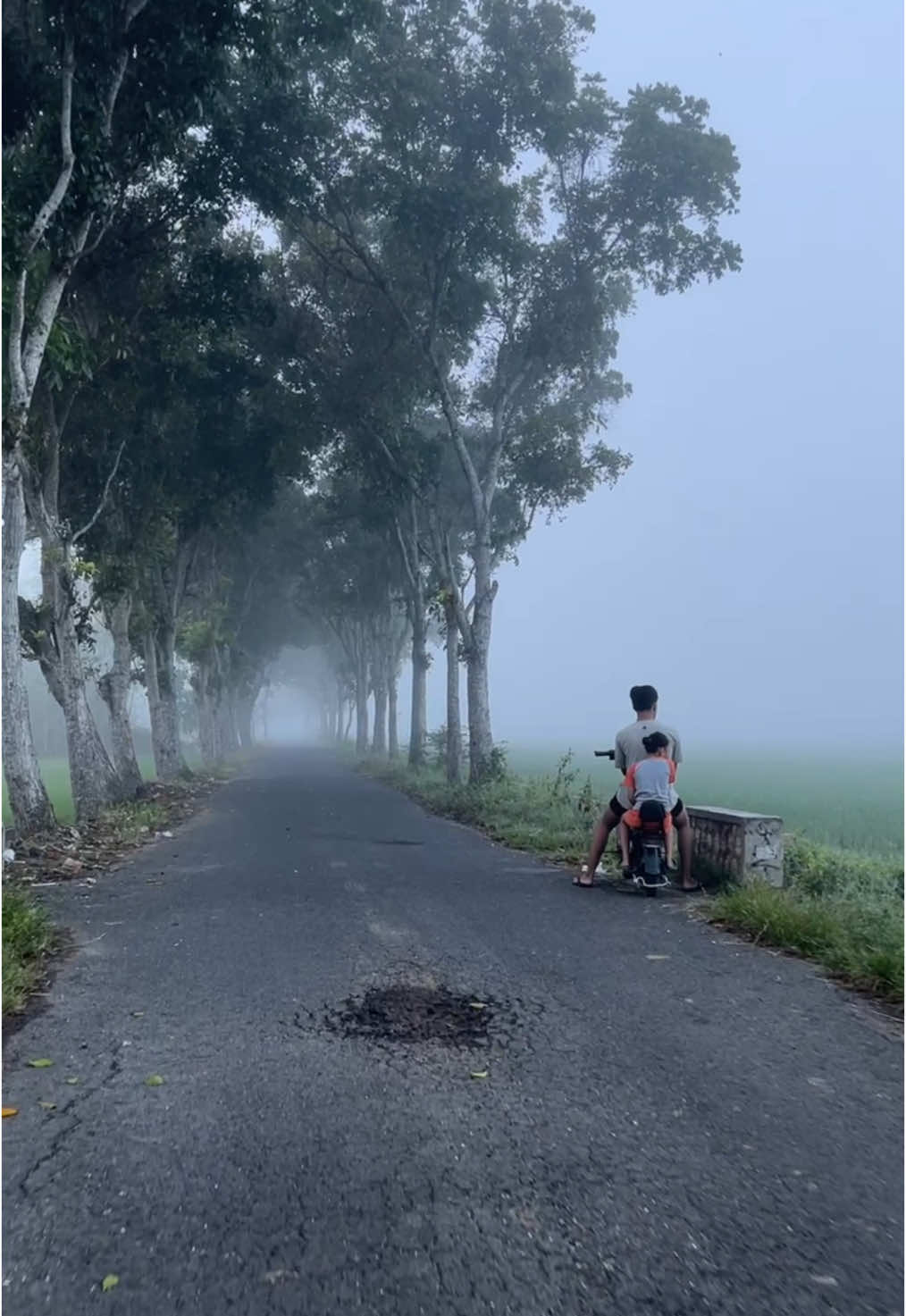 Kabut menyelimuti area persawahan Karangasem - Jatirogo - Tuban di pagi hari #kabut #pagi #persawahan #karangasem #jatirogo #tuban #jatirogo24jam #tuban24jam #wisatatuban #jalanjalan #pedesaan #trending #viral #fyp #lewatberanda #fyppppppppppppppppppppppp 