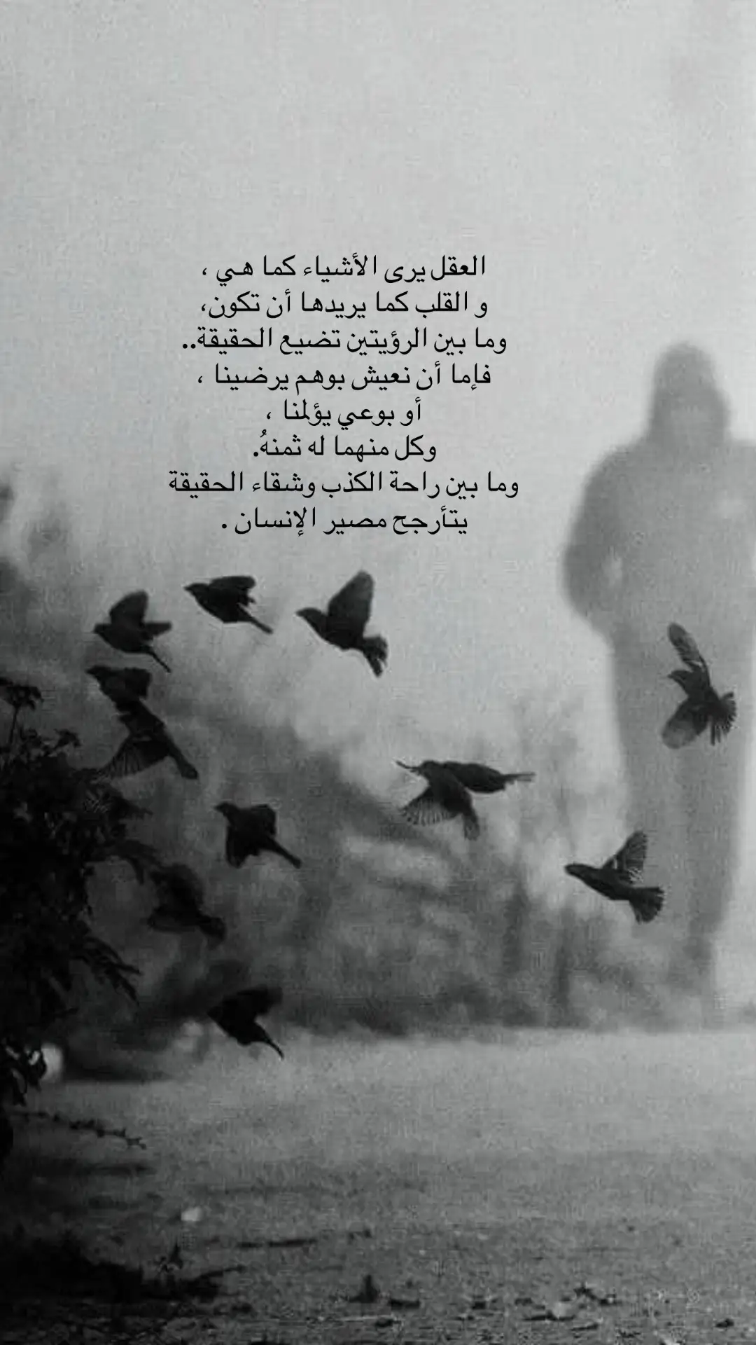 #منشوراتي_للعقول_الراقية_فقط 