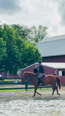 I learn so much with my instructor when I watch her ride ! #ottb #ottbsoftiktok #ottbmare #trot #trotting #hunterjumper #fyp #foryou #mare #chestnut #chestnutmare #walktrottransition #transitions #horsetraining #dressage #dressagerider #eventer #eveting #jumper #hearthorse #voiceover #equestrian 