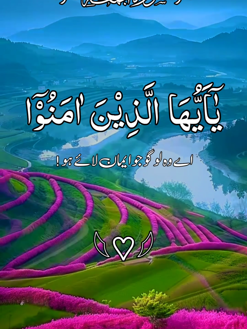 #سورةالجمعة #🌻🌻🌻 #بیشک_دلوں_کا_سکون_اللّٰہ_کے_ذکر_میں_ہے❤️ #ارح_قلبك_المتعب_قليلاً🤍💫 #mustwatch #videos #growmyaccount #plzviral🥺🥺🙏🙏foryoupage #ppppppppppppppppppppppp #foryoupage #foryoupage #foryoupage @TikTok @TikTok UK @TikTok Trends @tiktok creators 