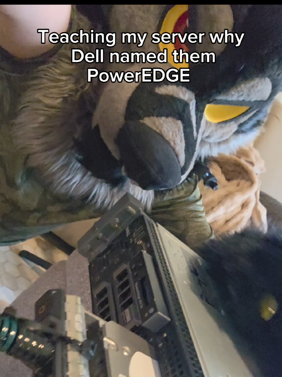 Dell PowerEDGE R710 #dell #dellserver #server #poweredge #furry #furriesoftiktok #furryfandom #furriesoftiktok #fursuiter #fursuit #compsci #computerscience #homelab 