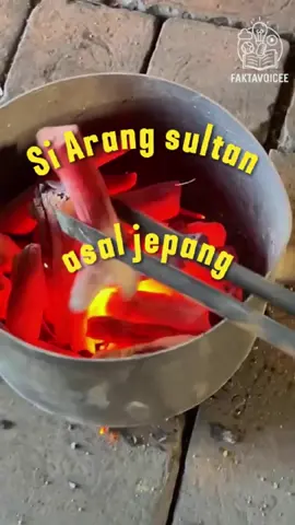 Arang Ini Bunyi Seperti Besi, Harganya Jutaan! Kamu Percaya? #Binchotan #ArangJepang #FaktaUnik #ArangTermahal #ViralShorts #JapaneseCharcoal #NoFaceContent #CuanTanpaWajah #LearnOnTikTok #EduTok #FYP #Shorts #Reels #sate #iduladha #qurban #bakaran #bbq #binchotan #kulinerindonesia #masakanrumahan #faktaunik #indonesianfood #eiduladha #dagingqurban