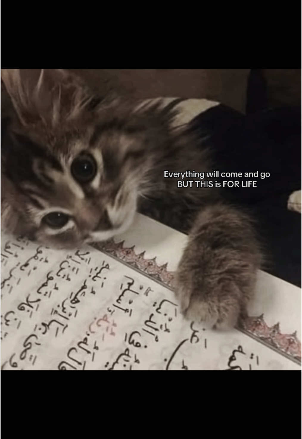 #قرآن_كريم_راحة_نفسية #اكسبلور #قرآن_كريم #محمد_ايوب #explore 