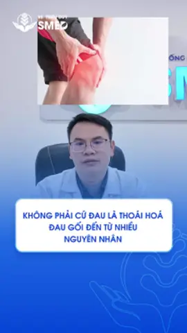 Đau gối không phải lúc nào cũng là thoái hóa! Xem ngay video để phân biệt các nguyên nhân đau gối thường gặp và hướng xử lý phù hợp #bacsitrieuduy #thoaihoakhopgoi #daukhopgoi #trandichkhopgoi #viemkhop #daunhucxuongkhop #lechtrucchan #phuchoichucnang #kienthucsuckhoe