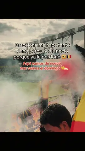 Uno es necio pero este amor es incondicional 😩🇧🇪 #bsc #futbolecuador #guayaquil #suroscura 