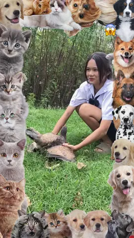#foryou #dogmeetingpuppy #unfreezemyaccoun #growmyaccount #virltiktok #viralvideos #foryoupagee #satndwithkashmir #noteligible #unfreezaccount #animalmeetin