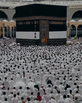 mudah mudahan kita semua di mudahkan dalam menunaikan ibadah haji dan umrah aamiin ya rabbal alamin  #bismillahfyp #ibadahhaji #makkah #syairsekumpul #sekumpul #martapura #pyyp #pyp #fyyp #viral #foryou 