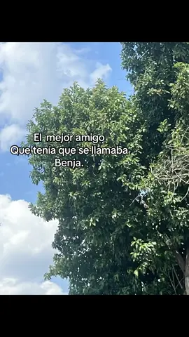 Te quiero mucho loco@B3njamin #flypシ #paratii #pinchetiktokponmeenparati #tiktok #teamo #mejoramigo #💙💙 #mibro #pinchetiktokponmeenparati 