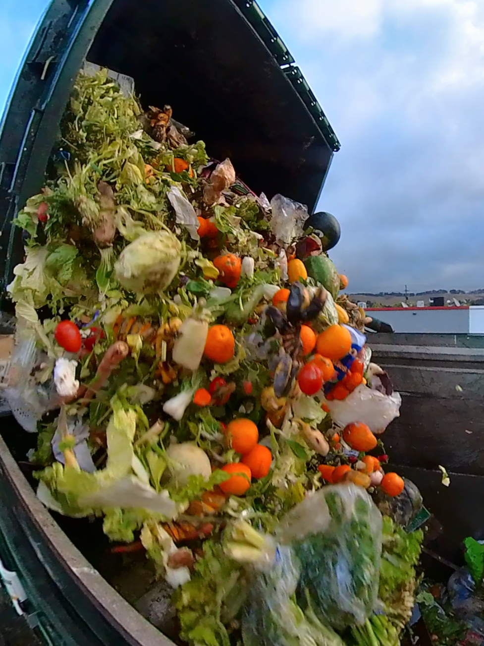 Waste Management food waste recycling  #garbagegus #garbagetruck #trash #trash #republicservices #wastemanagement #foodwaste #recycling #recycle 