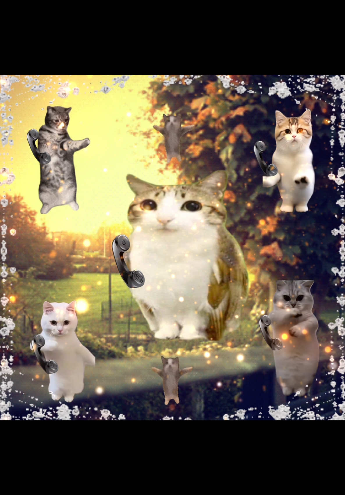 so call me maybe 🙀 #sillycat #brainrot #catcore #hopecore #jollytok #cat #corecore #catlover #corecore #catmeme #talkingpetsai #mecore #catsoftiktok #sillycats 
