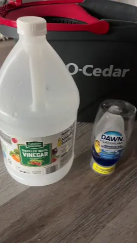 reset my floors after having guests in and out my house. baby cries and dog playing sounds 😂. #CleanTok #cleaningtiktok #asmr #relaxingsounds #mopping #moppingfloors 