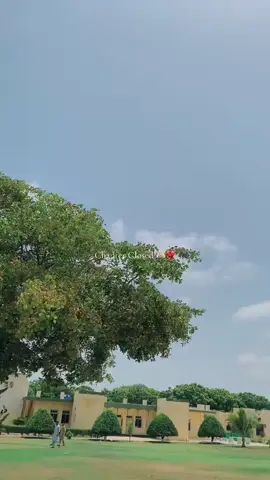 Training session complete 🫂🫀🎓#aesthetic #unfrezzmyaccount #viralvideotiktok #tiktok 