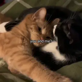 you and me?? #Love #foryou #loveyou 