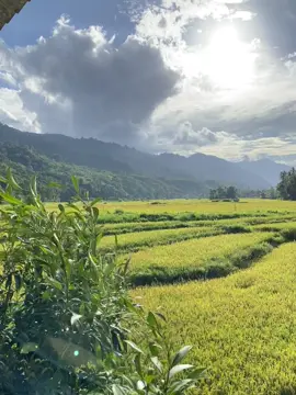 Very nice view🤩#sawahpedesaan #gunungpedesaan #pemandanganalam 