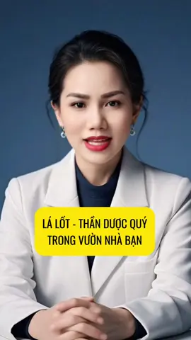 Lá lốt thần dược quý grong vườn nhà bạn. #meohay #baithuocdangian #suckhoe #maibeauty83 