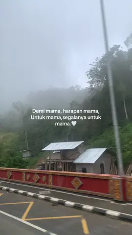 Cinta pertama anak laki laki,❤️☺️.                                                #fyppppppppppppppppppppppp #masukberanda #storywa #katakatamotivasi #fypシ゚ #mama 