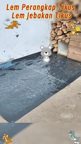 #fypp #fyp #fypage #fypシ゚ #foryoupage #foryou #lemtikus #mouse