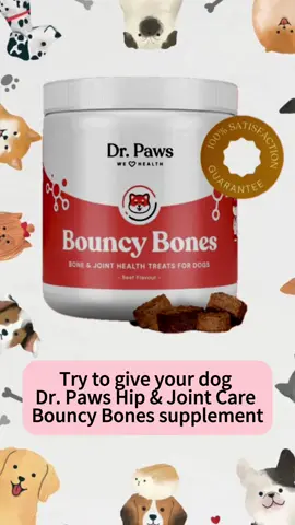 Dr Paws Hip & Joint Care Supplement Chews for Dogs | Bouncy Bones #pet #pets #PetsOfTikTok #petlover #petdog #drpaw #petsupplements #petsupplies #dog #dogsoftiktok #dog#dogs #dogsoftiktok #dogsupplements #dogsupplies #dogworld #dogvitamins #dogvitaminsandsupplements #dogvitamin #dogvitaminsproducts #dogproducts #dogproductsyouneed #dogproduct #dogessential #dogsupplies #vitaminfordog #vitaminanjing #vitaminanjingmurah #vitaminanjinglengkap #vitaminanjingbagus #bouncybones #dogvitaminsproducts #doghipandjointsupplements #doghipandjointsupplement #doghipandjointsupport #pettreats #dogtreat #dog treats and chews #dogsnack #makanananjing #dogchews #dogsupplementchews #probioticvitamindrpaw #vitaminuntukanjing 