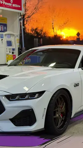 #CapCut #s650 #s650mustang #mustang #ford #mustanggt #mustanglifestyle #mustangsoftiktok #v8 #carsoftiktok #coyote #fypシ゚viral #cargoals #taillights #nichewheels💥 #oxfordwhitemustang #oxfordwhite #lowered #fordperformance #fyp #animated #cartoon #cartok 