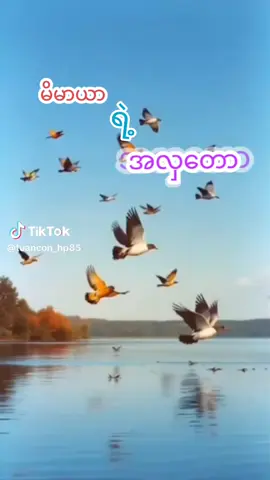 #မိမာယာရဲ့အလှတော💟💟💟#