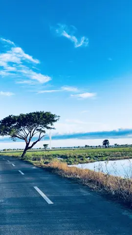 #pltbjenepontofyp#kinciranginraksasajeneponto#foryou