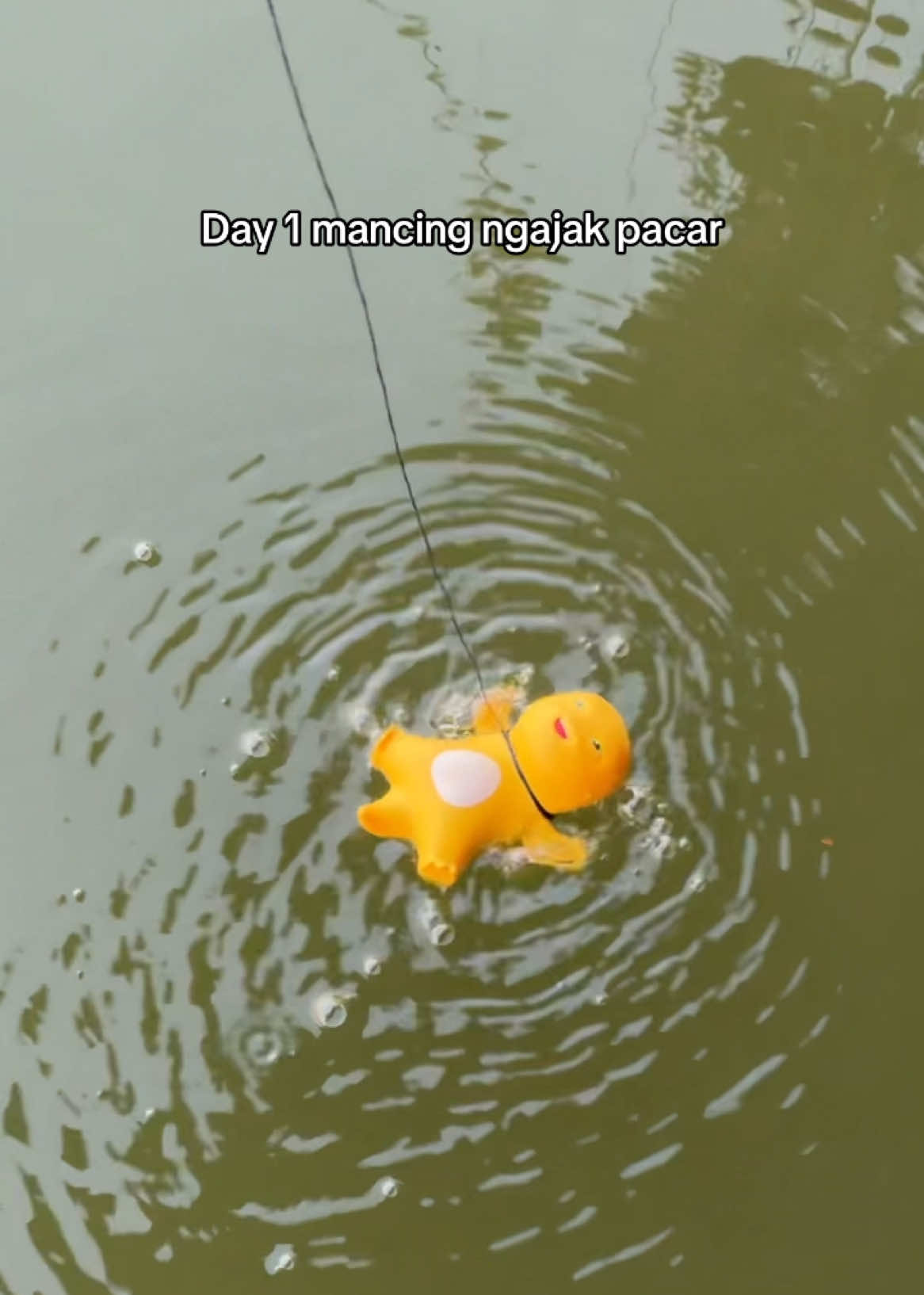 IKANNYA KABUR😭😭😭#nailongberenang #dinokuningberenang 