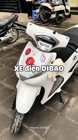 Đi xe điện, đỡ phải tốn xăng, còn góp phần bảo vệ môi trường nữa cả nhà ơi #xuhuong #fypシ゚ #Lifestyle #unboxing #review #xediendibao #dibaovietnam #xedien @DIBAO Việt Nam 