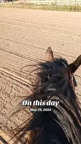 #onthisday