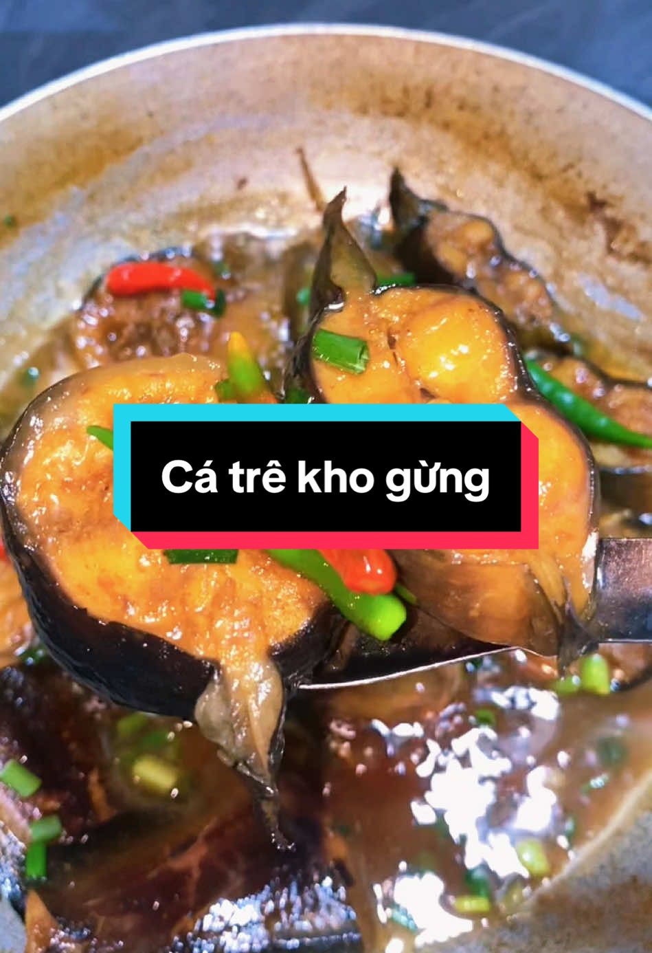 Cá trê kho gừng #xuhuongtiktok #nauancungtiktok #chonmientay #cakho 