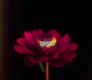 я как-то догадалась до этого хе-хе >:) наверное уже поздно но всё же #цветы #ты #тренды #foryou #тыия #нежноеэто #ты #несладко #edit #эдит #реки #fyp #flowers #loop #viral 