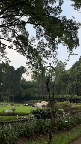 secandu ini ternyata kebun raya bogor🪾 #kebunrayabogor #bogor #fyp #myheart 