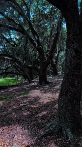 #nature