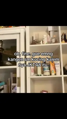 bagai kucing yang? - - #masukberandatiktok #edit #fotolive #katakata #jkt48 #wota #adeljkt48 #kucing #kalem #fyp #adel   #repost #kata #sad #exmemberjkt48 @adel.revaa 