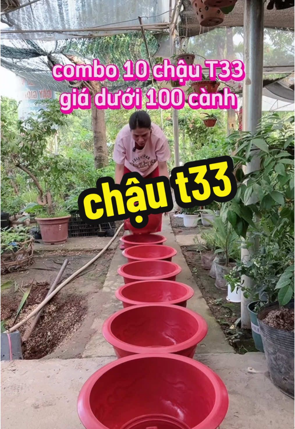 combo 10 chậu nhựa T33 trồng cây#chaunhuatrongcay #caycanh #vườncuaban1982 #xuhuong 