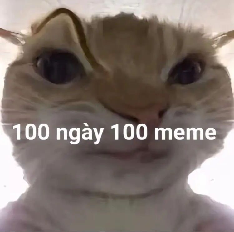 #Meme 