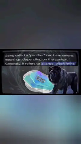 Panther, a Black Cat music video made by The Big Chief. #panther #blackcat #spirituallyconsious #TheBigChief #WCPBLPD #firemusic #superproducer 