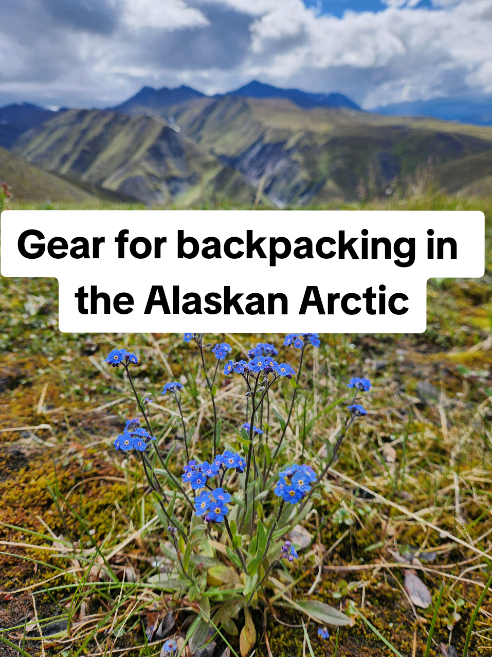 Oops meant to say it's a ten degree bag! Not zero degree.   #backpacking #longdistancehiking #brooksrange #alaskahiking #ultralight 