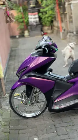 Hoekkk #violabadboys 